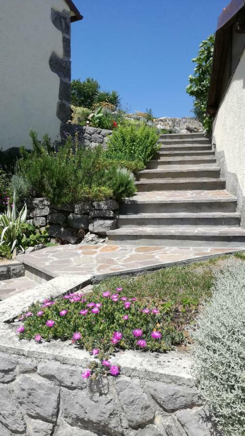 Holiday Home Demark Jurdani Exterior photo